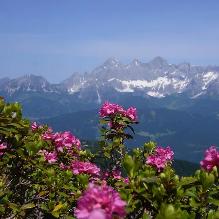 Apartmán Wiesbach Ramsau am Dachstein