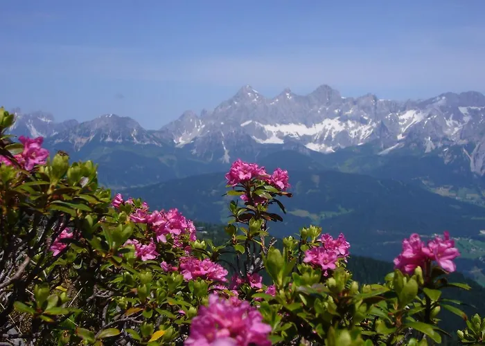 Apartmán Wiesbach Ramsau am Dachstein